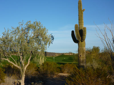 Blackstone is Jim Engh's first effort in Arizona