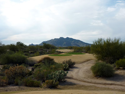 2010 was a non-overseed year at Desert Forest