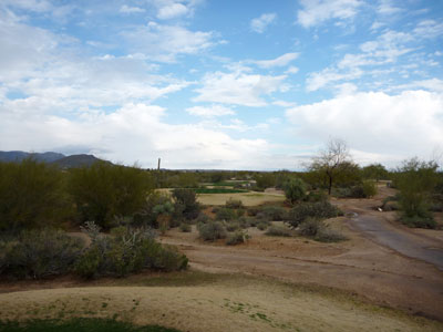 Desert Forest typically runs hard and fast, but the rain slowed everything down