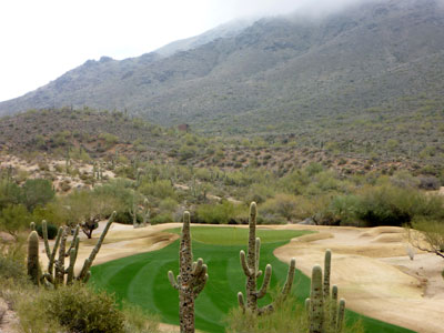 The signature 14th hole is lined with cactus