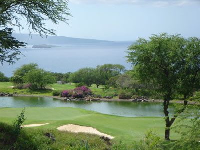 Wailea Emerald