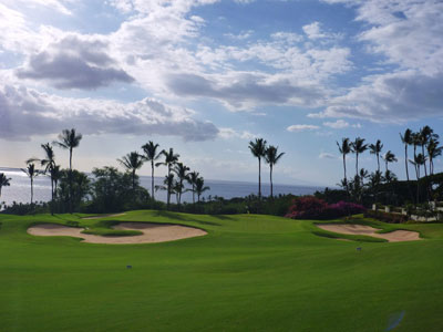 Wailea Gold