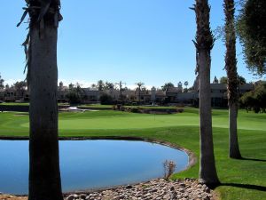 Phoenician (Oasis) 4th Trees