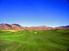 Fossil Trace 7th