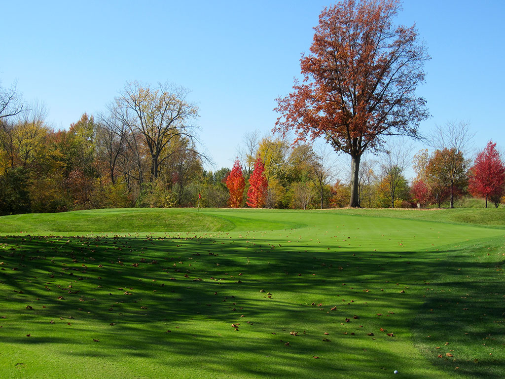 Crooked Stick Crooked Stick