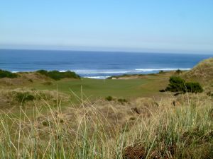 Pacific Dunes 10th Grass