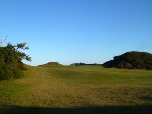 Pacific Dunes 3rd Gorse