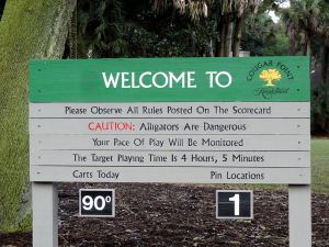 Kiawah Island (Cougar Point) Sign