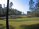 Bentwater (Grand Pines) 3rd green
