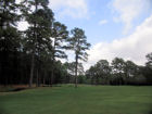 Lochinvar 3rd tree
