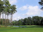 Lochinvar 5th trees