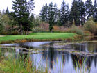 Harbour Pointe 7th