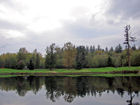 Semiahmoo 11th water