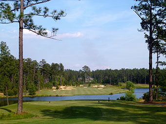 Forest Creek Golf Club (North) 15th