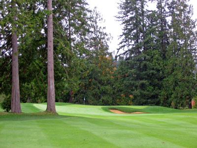 This is a big par five where ball placement is critical in scoring well