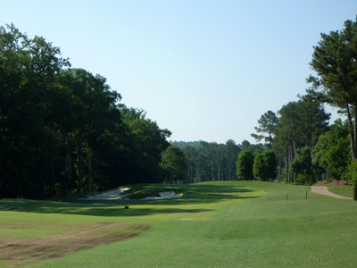3 wood off the tee should get it done