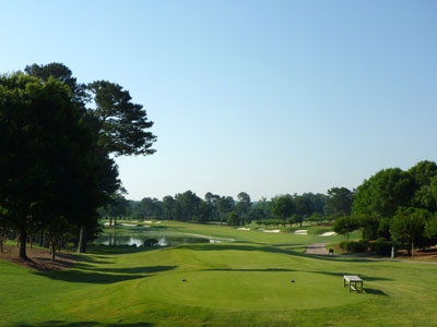 Atlanta Athletic Club (Highlands) 8th hole