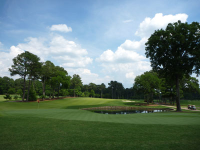 Just a fantastic hole in all respects