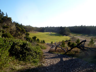 Bandon Trails 14th