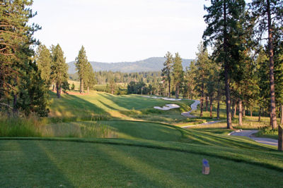 The picturesque 8th hole is framed by trees and brilliant white sand