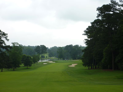 Downhill par five gives the golfer a chance to reach the green in two