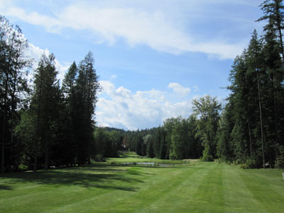 Long hole to an elevated green