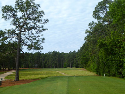 Pine Needles 17th hole