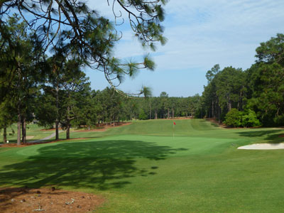 Pine Needles 1st hole