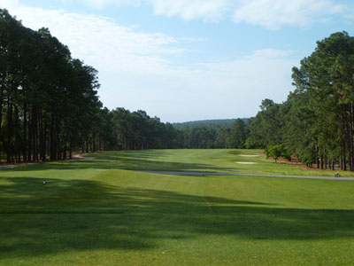 Pine Needles 2nd hole