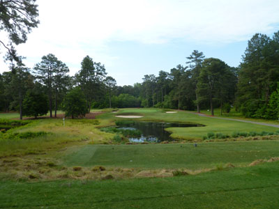 Pine Needles 3rd hole