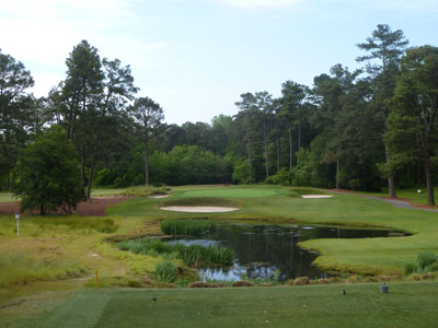 Pine Needles 3rd hole