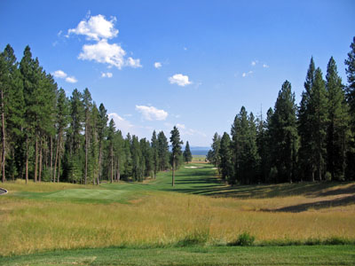 The large tamarack tree in the middle of the fairway is more of a mental obstacle than physical
