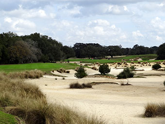 World Woods (Pine Barrens) 4th